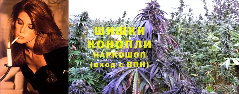 где продают наркотики  Бирюсинск  Конопля индика 